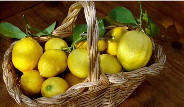 檸檬太多吃不完怎么辦,檸檬買(mǎi)多了吃不了怎么辦圖3