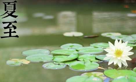 夏節(jié)又稱什么,夏節(jié)又稱什么三個(gè)字圖4