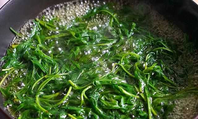 青團(tuán)不放冰箱會壞嗎，家庭版青團(tuán)簡單做法？圖6