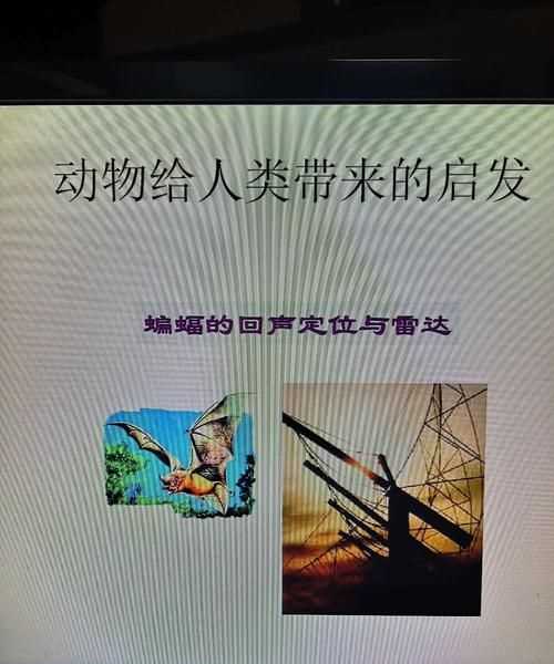 人們從哪些動物身上得到了什么啟示