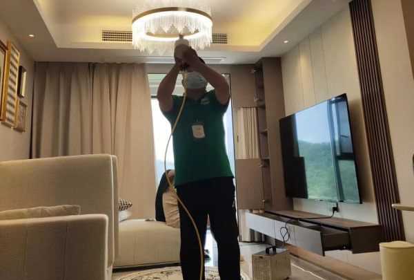 如何空氣凈化,放在房間凈化空氣的植物有哪些圖5