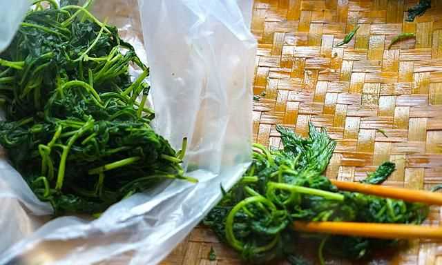 青團(tuán)不放冰箱會壞嗎，家庭版青團(tuán)簡單做法？圖10