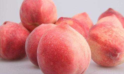 杏和桃的區(qū)別,黃桃和杏子有什么區(qū)別圖3