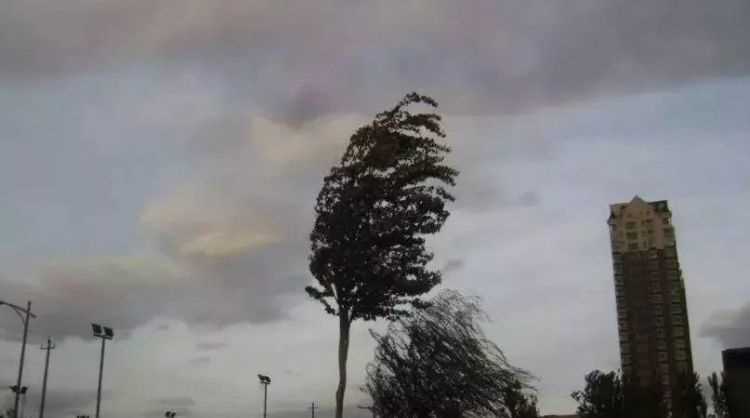 五級風的威力有多大?