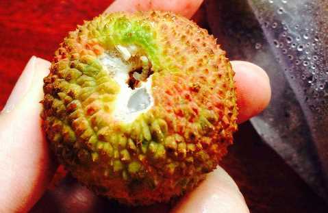 吃了荔枝里的蟲(chóng)子怎么辦,荔枝里的蟲(chóng)子吃到肚子里怎么辦圖5