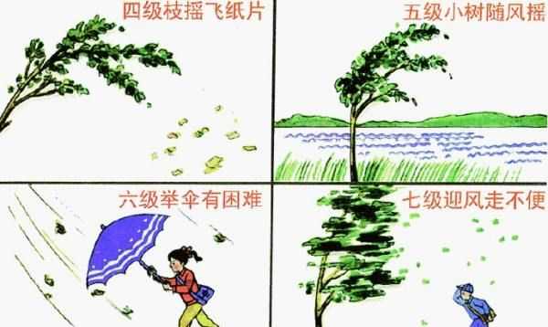 五級風有多大,五級風是什么程度視頻圖4