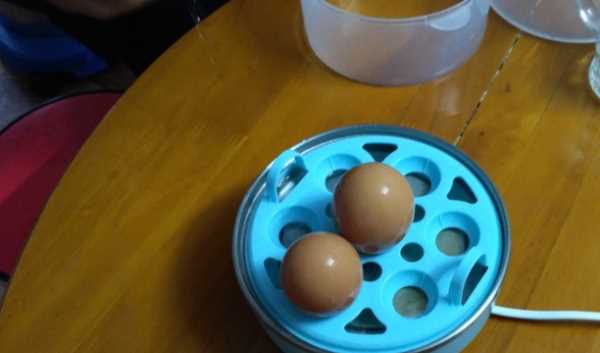 單獨(dú)雞蛋可以做什么,只用雞蛋能做什么菜?圖6
