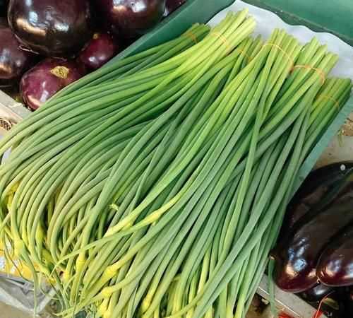 蒜苔怎么抽不斷,怎樣抽蒜苔不會(huì)斷視頻