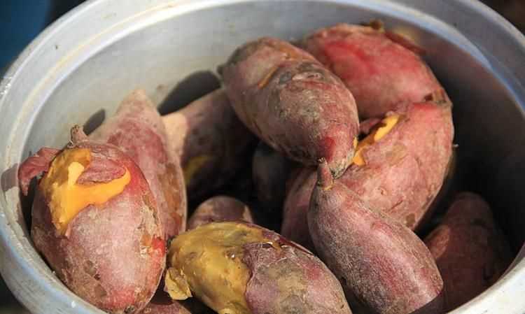 蒸紅薯是冷水下鍋還是開水下鍋