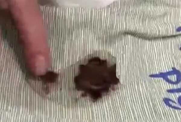 巧克力用什么洗能洗干凈,舊巧克力漬怎么洗掉圖7