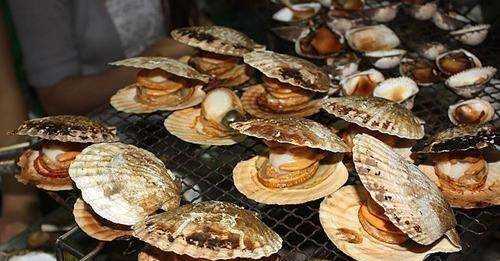 燒烤海鮮種類有哪些,海鮮貝殼類有哪些圖片圖8