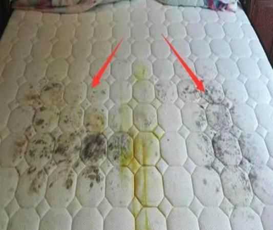 假期回來床單發(fā)霉