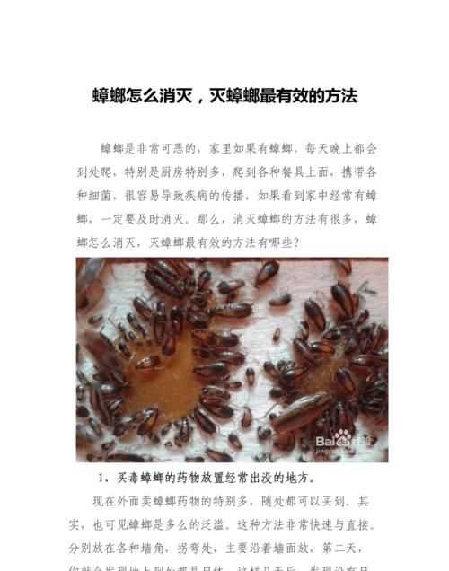 怎樣除蟑螂最有效的方法小妙招