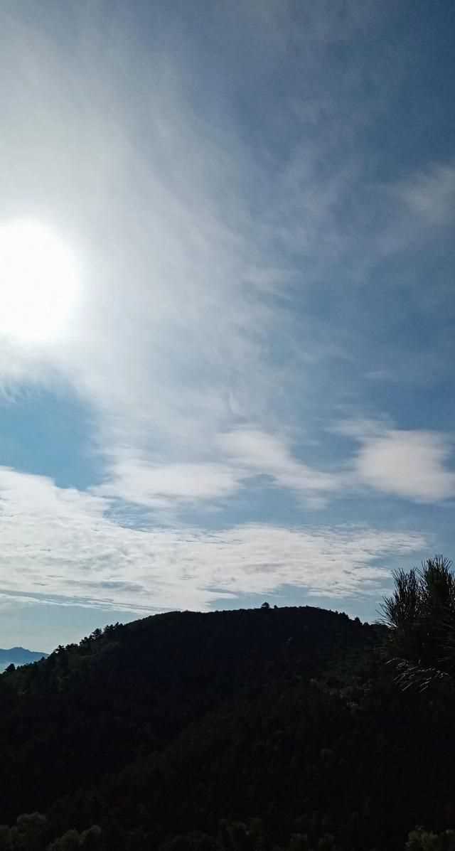 松茸生長(zhǎng)在什么地方，北松茸生長(zhǎng)在什么地方？圖11