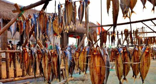 曬干的小咸魚怎么做好吃,干咸魚怎么做好吃又簡單的方法圖2