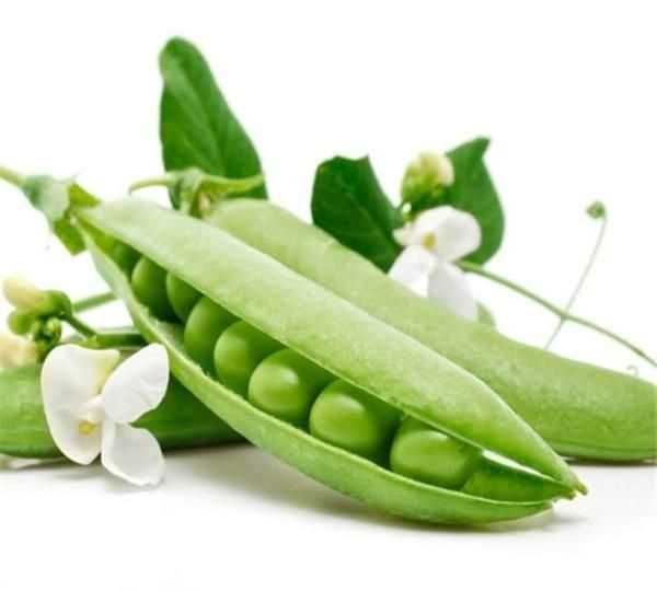 豆莢是什么，豆莢投放是什么？圖3