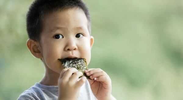 海苔吃了會胖,吃海苔會變胖嗎圖3