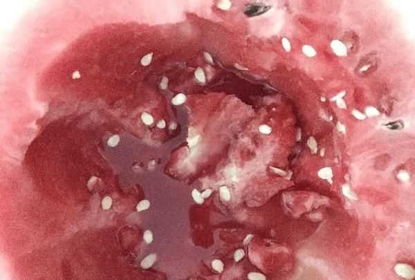 西瓜里面有白色的筋能吃嗎