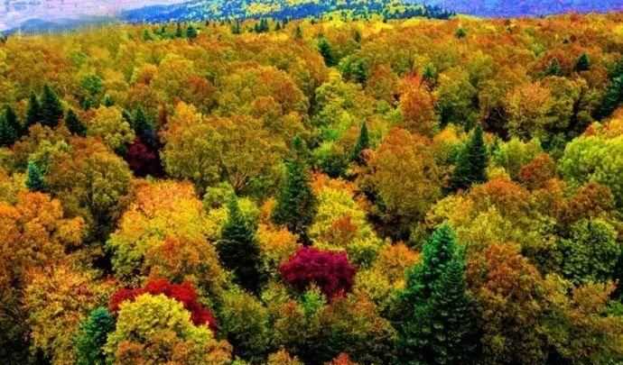 二年級短文五花山開頭是設問句還是疑問句