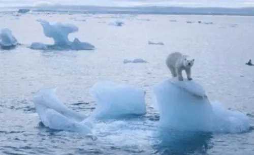 全球變暖的后果,全球變暖引起的后果會(huì)濕圖3