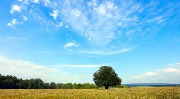 紅塔山是哪里的煙,紅塔山香煙是哪里產(chǎn)的圖1