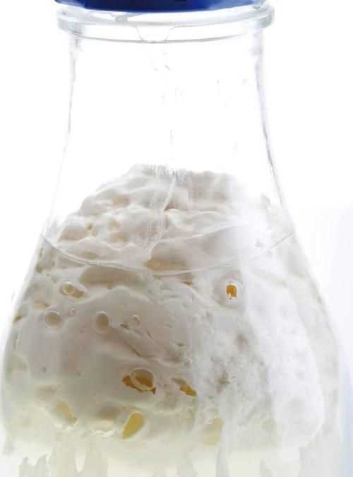 保質(zhì)期一年的牛奶有塊狀是什么原因