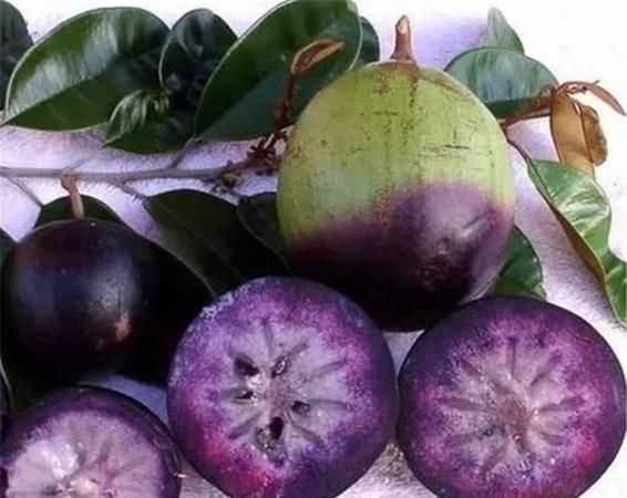 牛油果怎么吃好吃