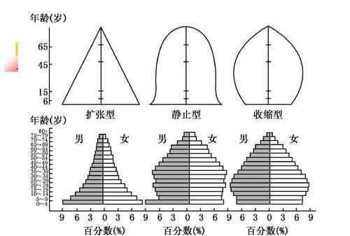 年齡組成三種類型圖示