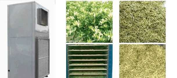 金銀花怎么曬干的做法視頻