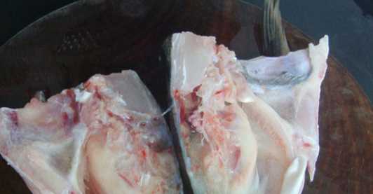 魚(yú)頭豆腐湯的做法,魚(yú)頭豆腐湯的做法家常做法圖14