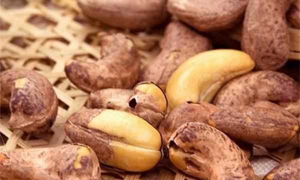 腰果的皮可以吃,腰果的皮可以吃嗎?圖3