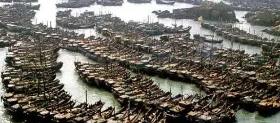 中國的舟山漁場建在什么流,中國的舟山漁場建在什么流顯著的海域圖4