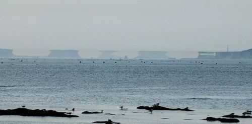 忽聞海上有仙山的下句是什么