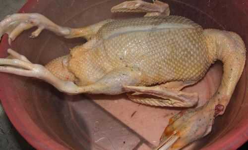 拔鴨毛的最好方法