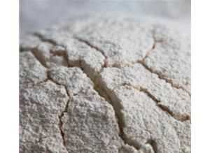 面粉受潮結(jié)塊還能吃嗎