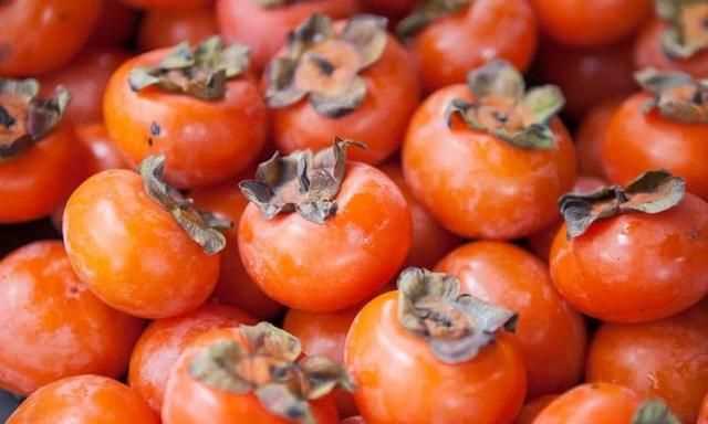 柿子為什么不能放冰箱