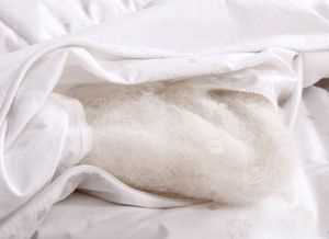 被子用的時(shí)間長(zhǎng)有一股異味而且很潮濕，應(yīng)該怎么辦