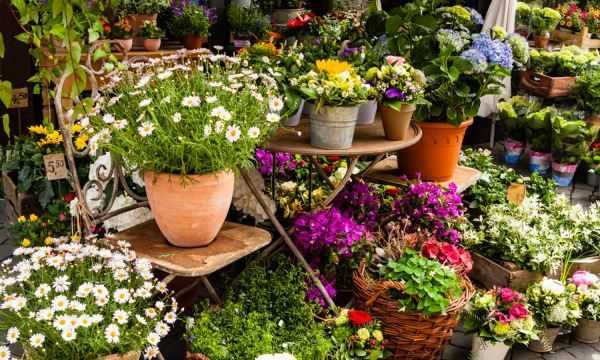 怎樣能讓屋里沒(méi)有潮蟲(chóng),家里為什么有潮蟲(chóng)圖1