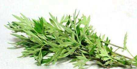 艾葉煮水洗臉的壞處,艾草能天天洗臉嗎圖3