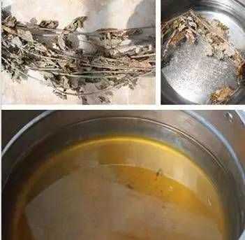 艾草洗臉的功效與作用禁忌