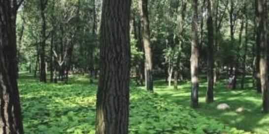 怎么辨別方向東南西北，現(xiàn)實(shí)生活中怎樣辨別方向？確定東南西北！請(qǐng)舉例詳細(xì)說明？圖6