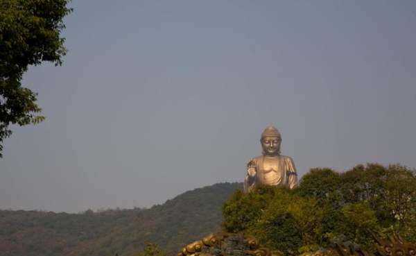 中國(guó)最大的佛像在什么地方呢,我國(guó)最大的佛像是哪一座圖2