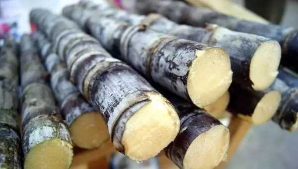 甘蔗為什么會(huì)變紅,甘蔗里面發(fā)紅是怎么回事是否能食用圖2