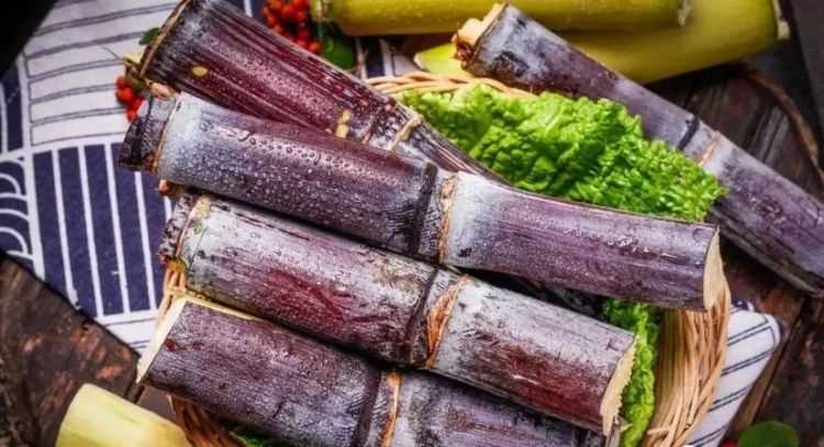 為什么甘蔗越放越甜