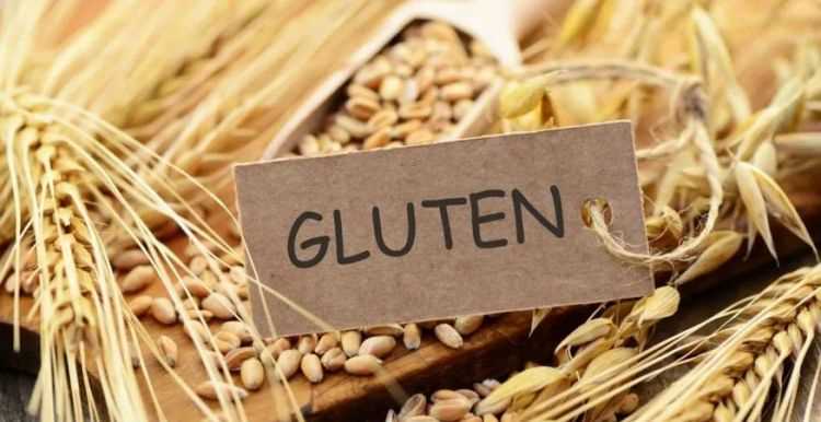 麩質(zhì)是什么面料