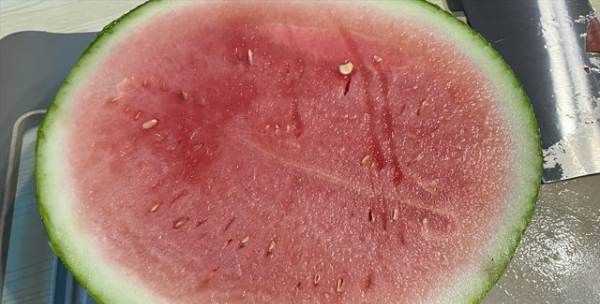 西瓜摘下來了不熟怎么辦,西瓜買回來不熟怎么辦圖3