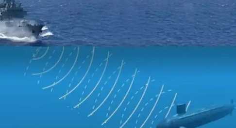 從動物身上得到啟示的發(fā)明有哪些,人類從哪些動物受到啟發(fā)發(fā)明了什么?圖2