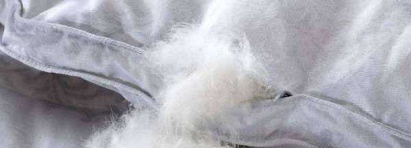 鵝絨被有腥味正常,鴨毛被都有味道嗎圖2