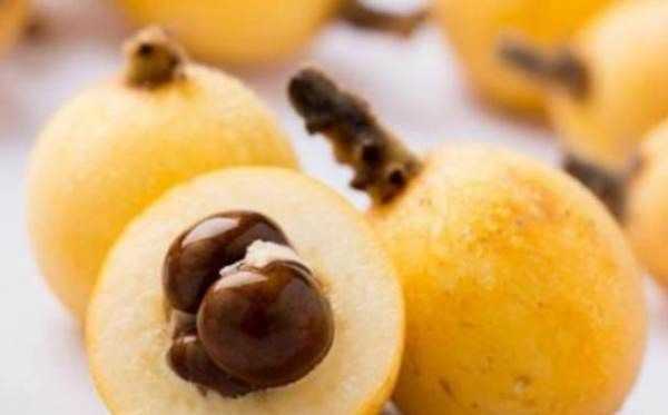 東山白玉枇杷的特點(diǎn),蘇州東山白玉枇杷蜜好喝嗎圖5