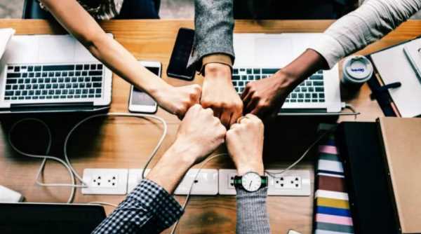 社畜七態(tài)是什么意思,無法成為社畜的我們圖1